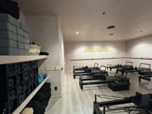Group fitness studio with smart lighting, and multi-zone audio integration in Porirua.